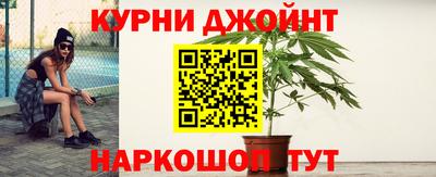 прущие крисы Новозыбков