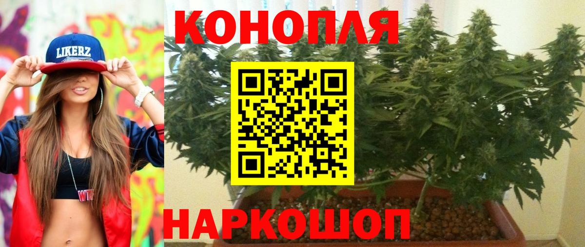 Канабис OG Kush  Канабис ГИДРОПОН  Бутурлиновка  Бошки марихуана AK-47  Вход с VPN 